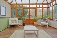 free Reighton conservatory quotes